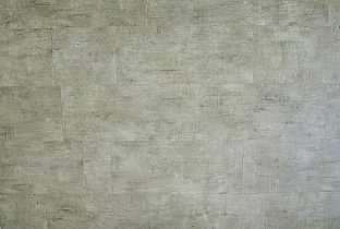 FineFloor F1541 FineFloor F1541