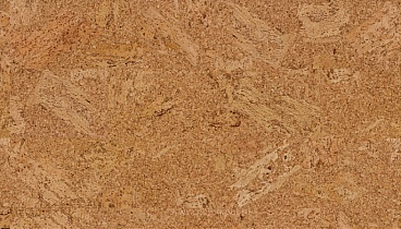 Пробковое напольное покрытие Wic Original O841 Accent