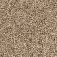 Ковролин Tarkett DRAGON  10431_3 м